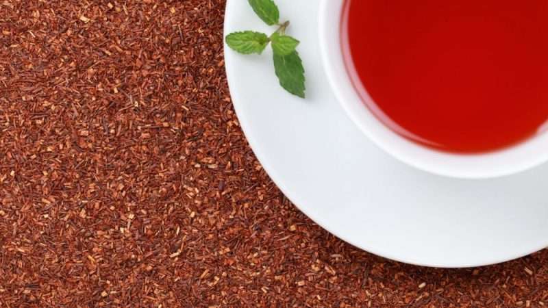 How to Brew Rooibos Tea